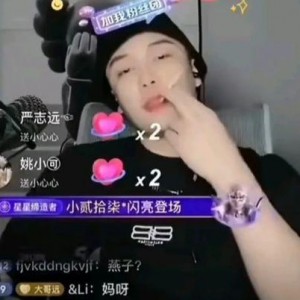 网红黑料视频,视频背后的真相与反思